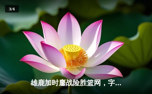 雄鹿加时鏖战险胜篮网，字母哥44分率队捍卫主场 - 3